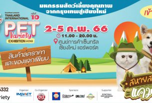 SmartHeart presents